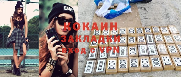 индика Протвино