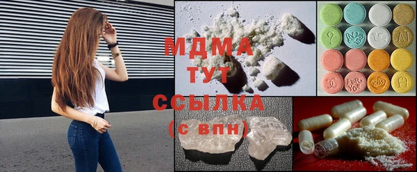 индика Протвино