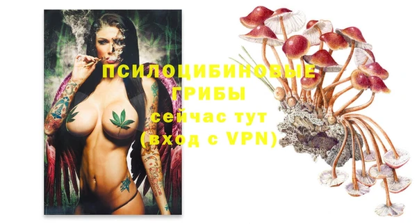 ALPHA-PVP Белокуриха