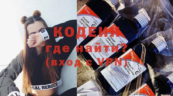 индика Протвино