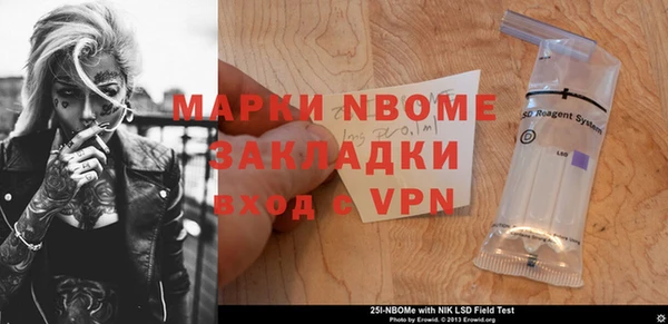 индика Протвино