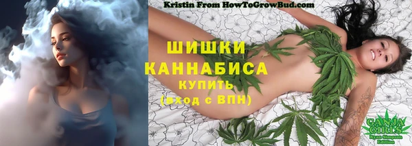 индика Протвино